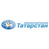 Авиакомпания Татарстан
